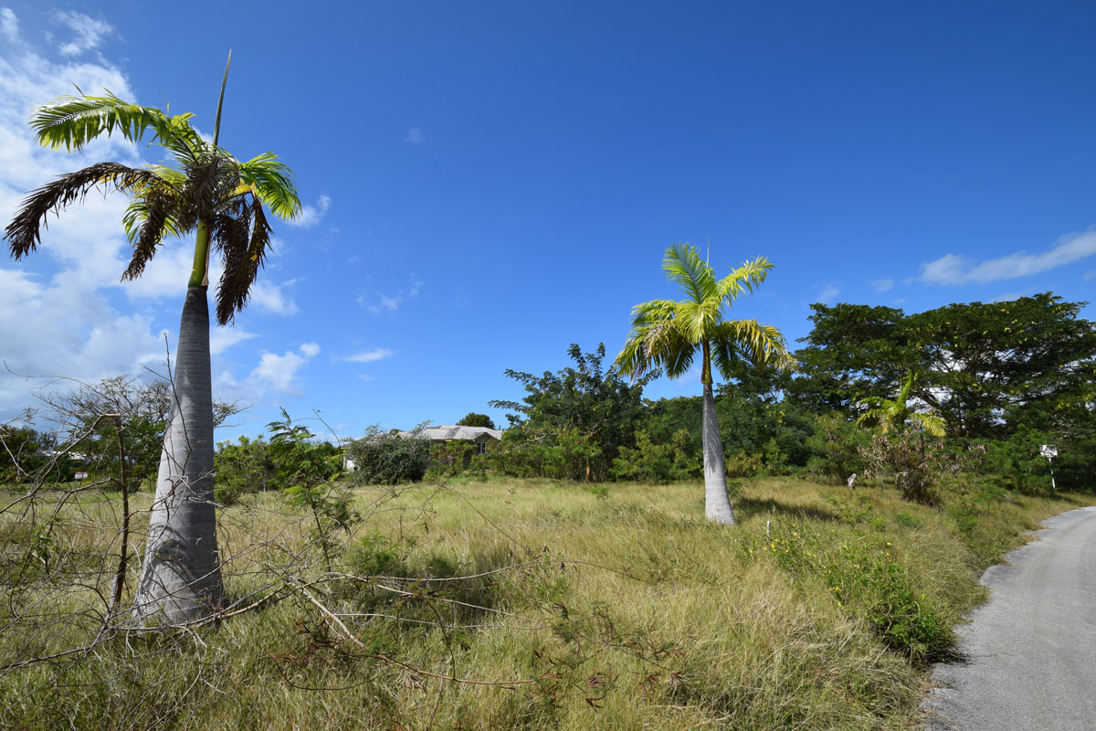 Heron Drive Lot 39, Heron Mill Estate, Bakers, St. Peter, Barbados, land DSC_0190_0.jpg